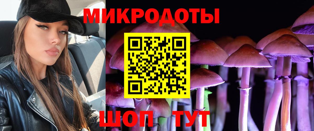 Псилоцибиновые грибы Psilocybe Верхний Уфалей