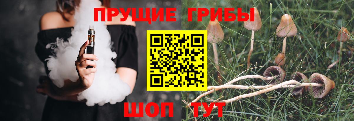 Верхний Уфалей  Галлюциногенные грибы ЛСД  Вход с VPN 